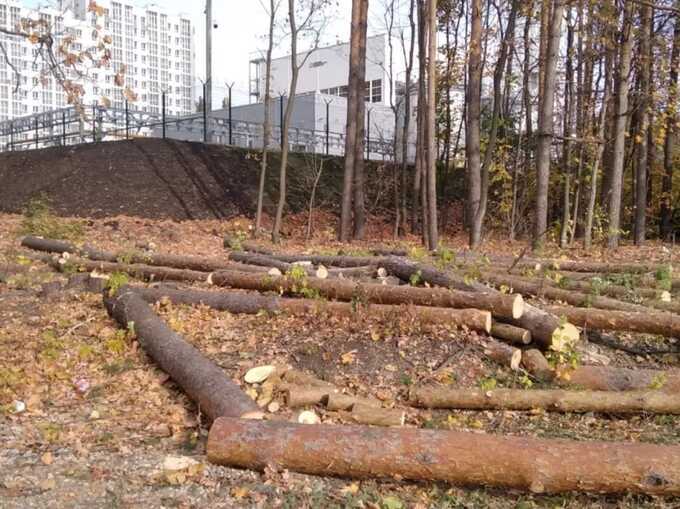 УФСБ Башкирии, приостановили вырубку 1200 гектаров городских лесов города Уфы