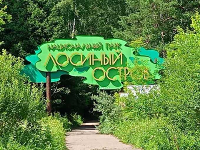 Массивная техника, маски и кровь: как под видом стройки разрушают Лосиный Остров