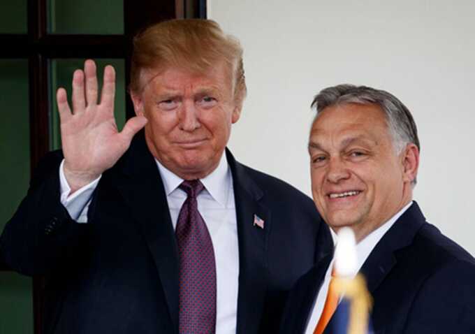Трамп возмущен ударами Украины по нефтепроводу «Дружба» — Венгрия жалуется в Еврокомиссию